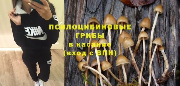 PSILOCYBIN Алексеевка