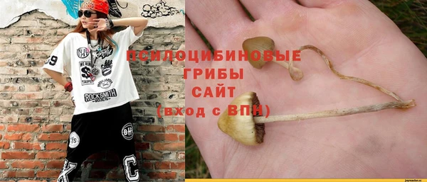 mdpv Алзамай