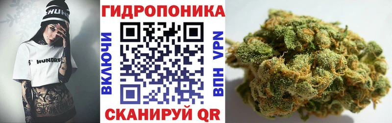закладка Закаменск кракен ССЫЛКА Марихуана план